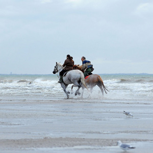 Deauville Green Awards