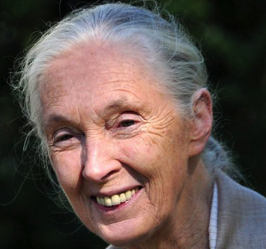 Jane Goodall
