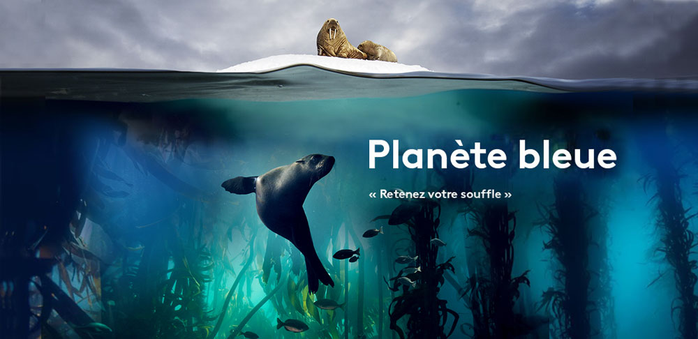 PlaneteBleueaffiche