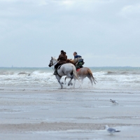 Deauville_4